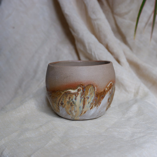 Earth Mug no8