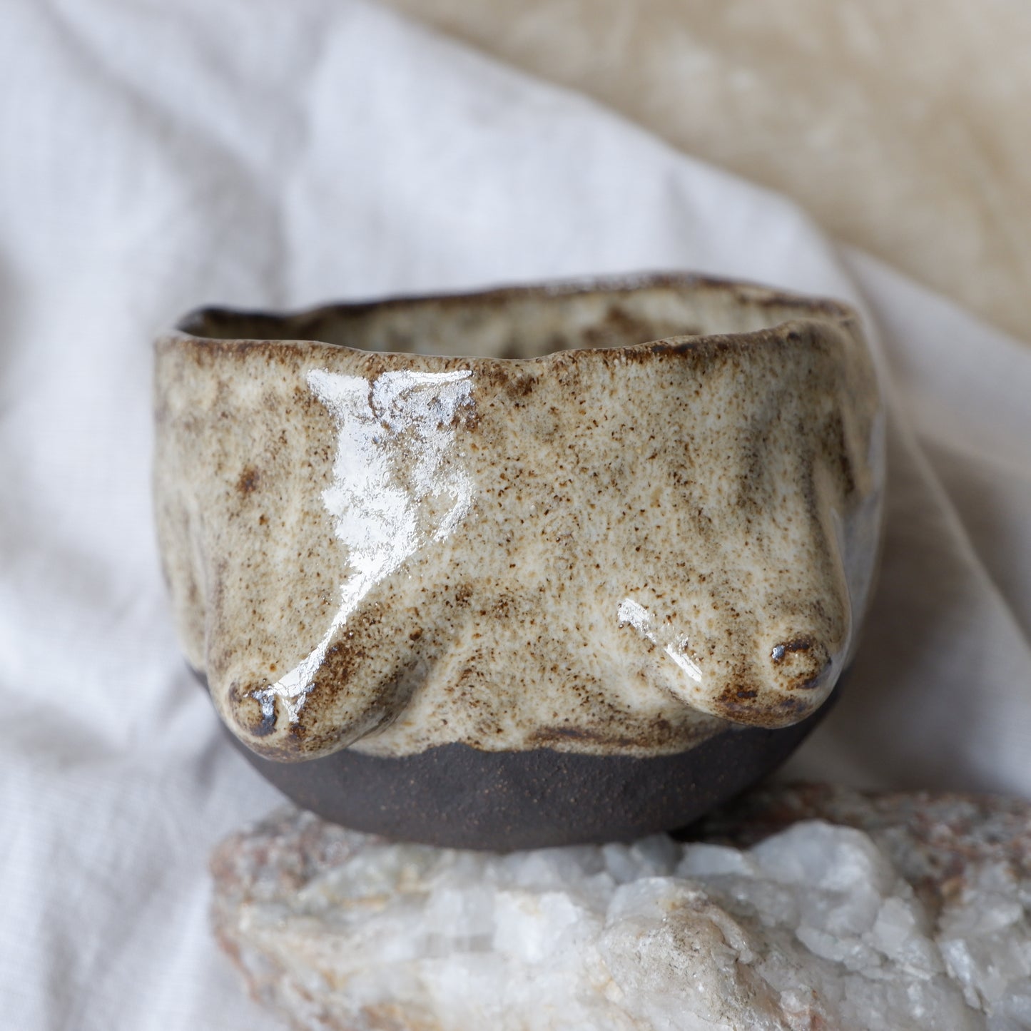 Rooted Collection // 'dream big' mug