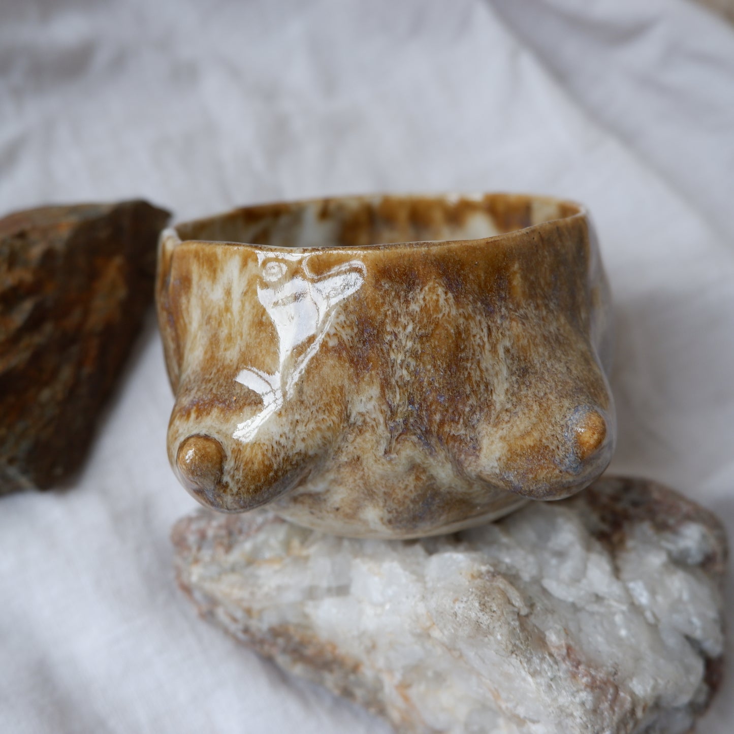 Rooted Warmth Mug