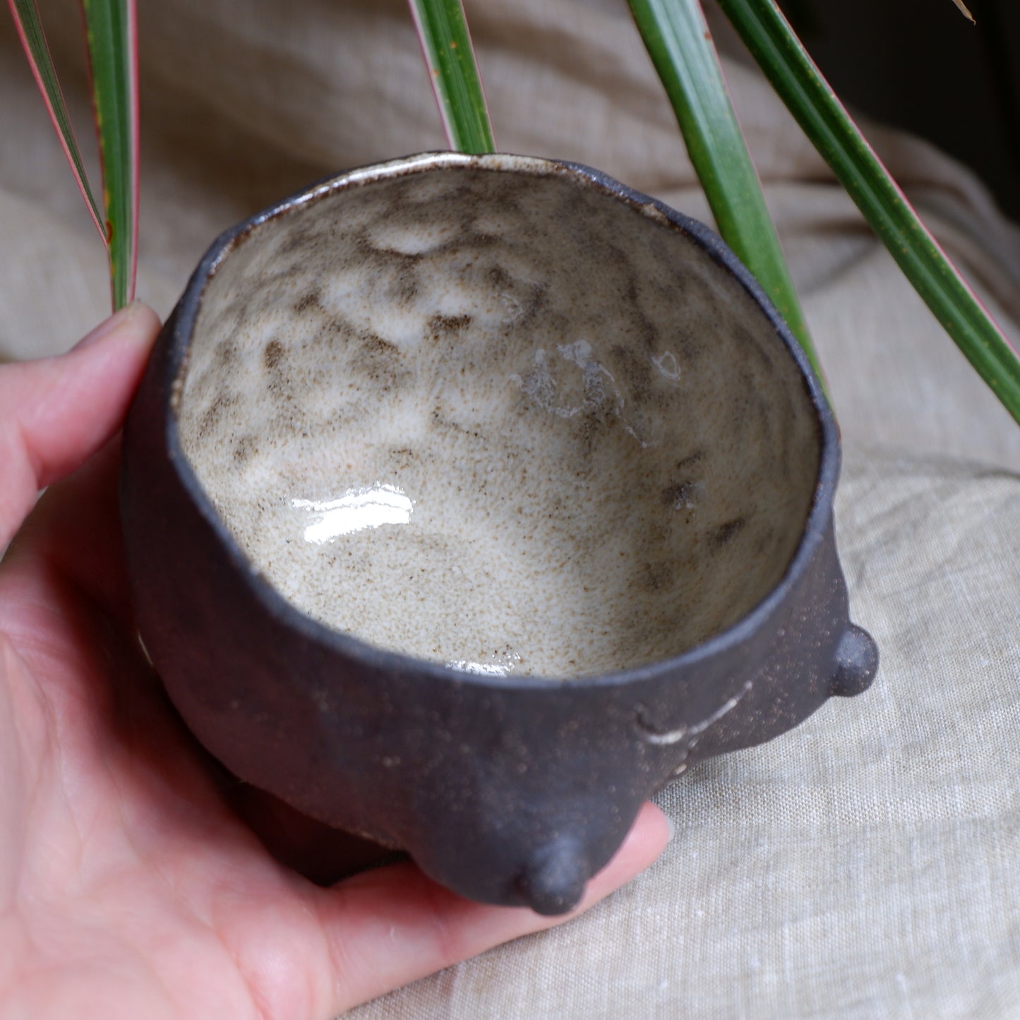 Rooted Collection - Mug of Reflection & Connection
