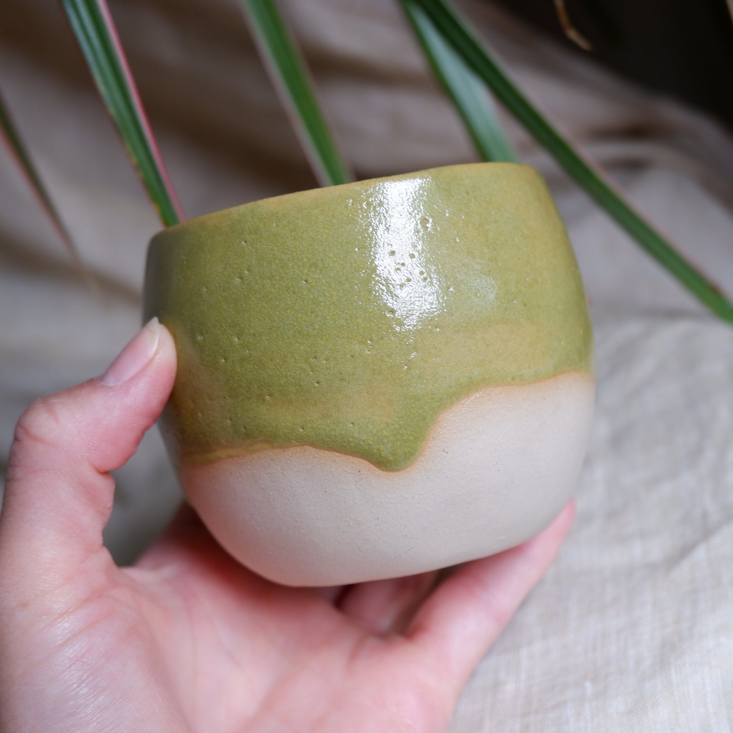 Green Cup