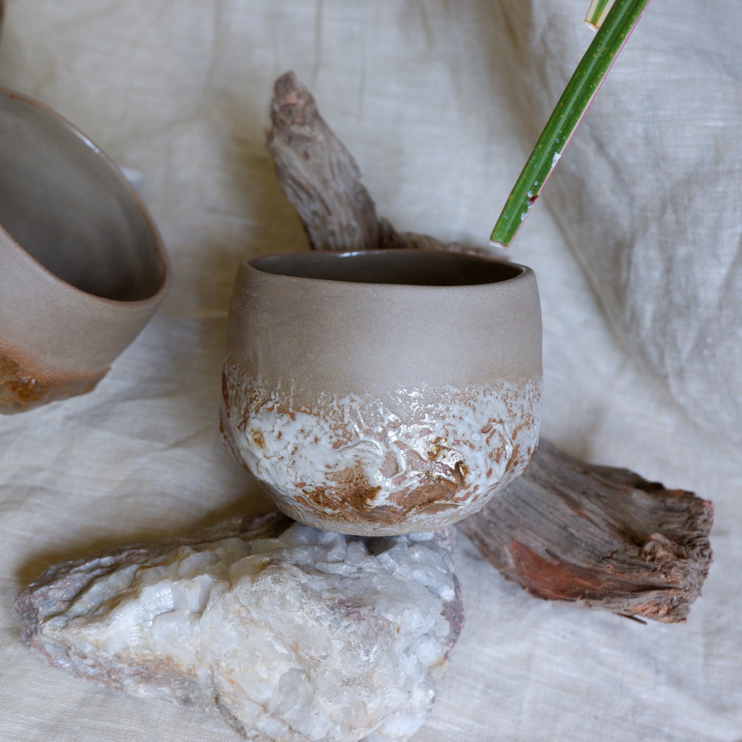 Earth Mug no5