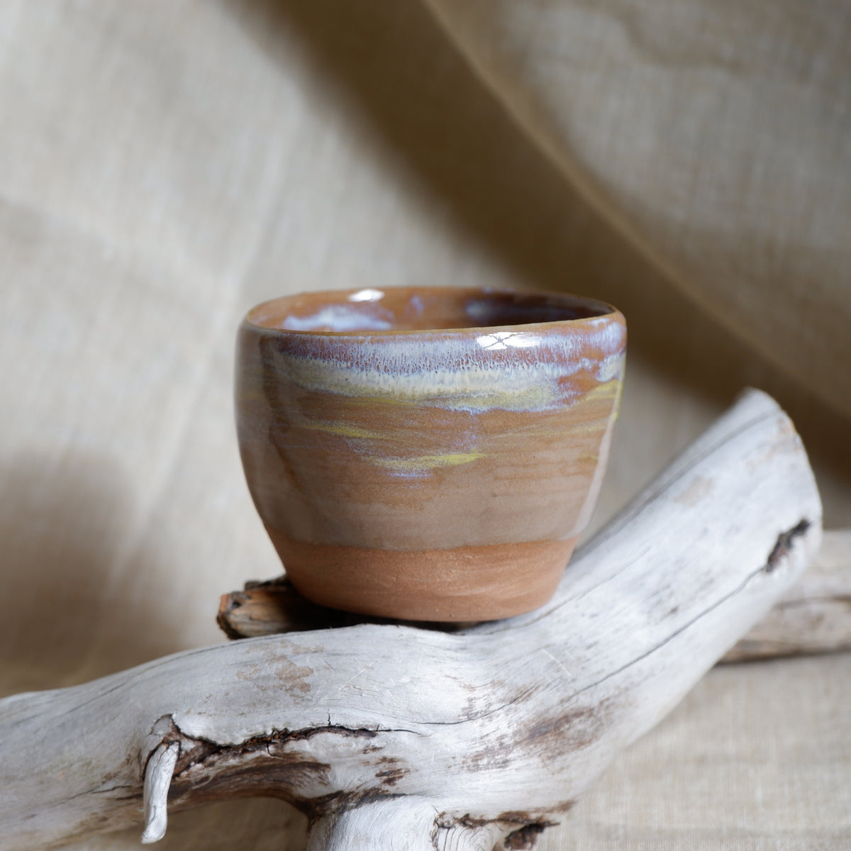 Rooted Cup 7