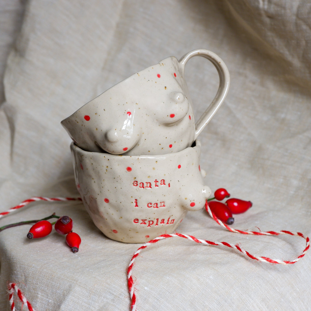 santa, i can explain Mug