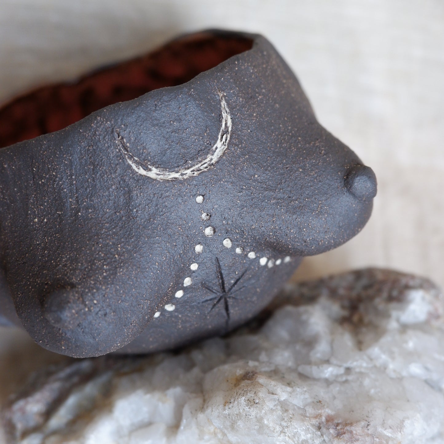 Rooted Collection Mug / symbolizes reflection and connection