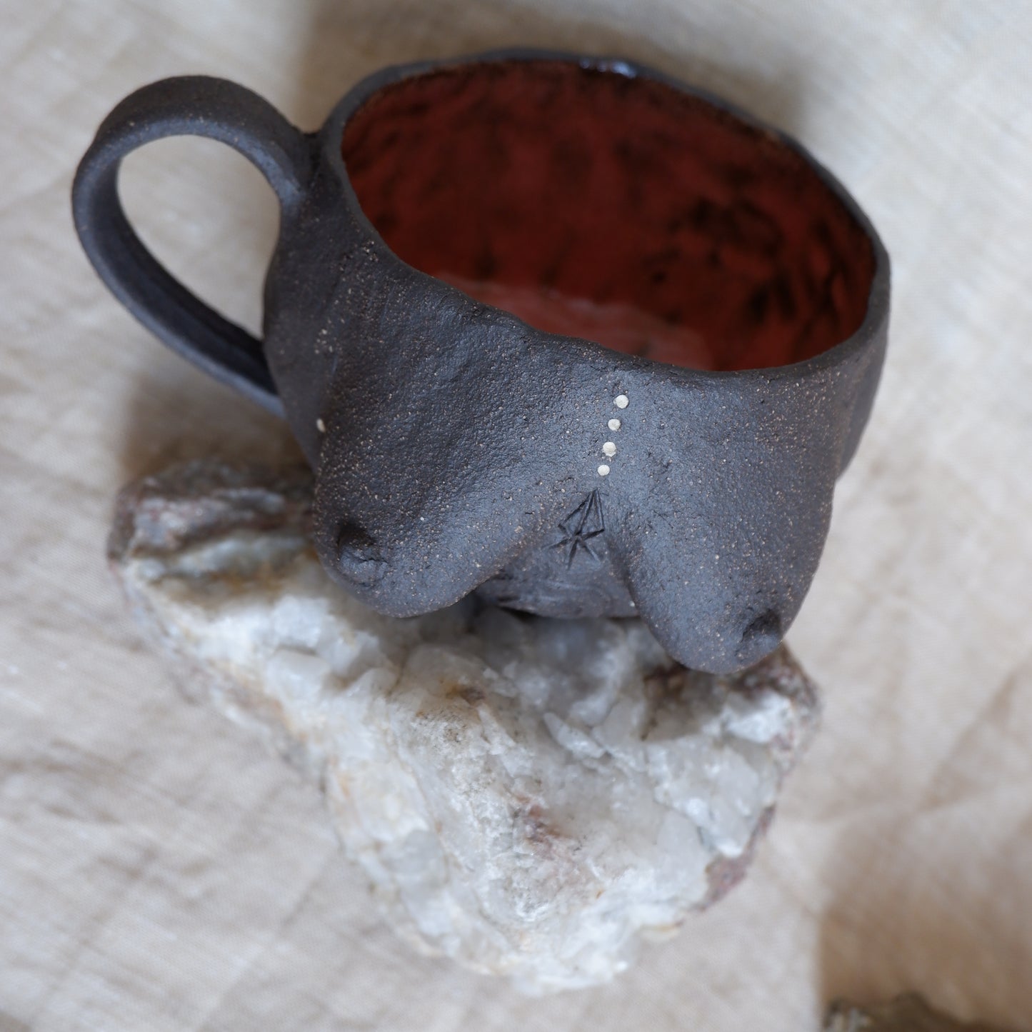 Rooted Collection Mug / symbolizes journey, evolution, and growth
