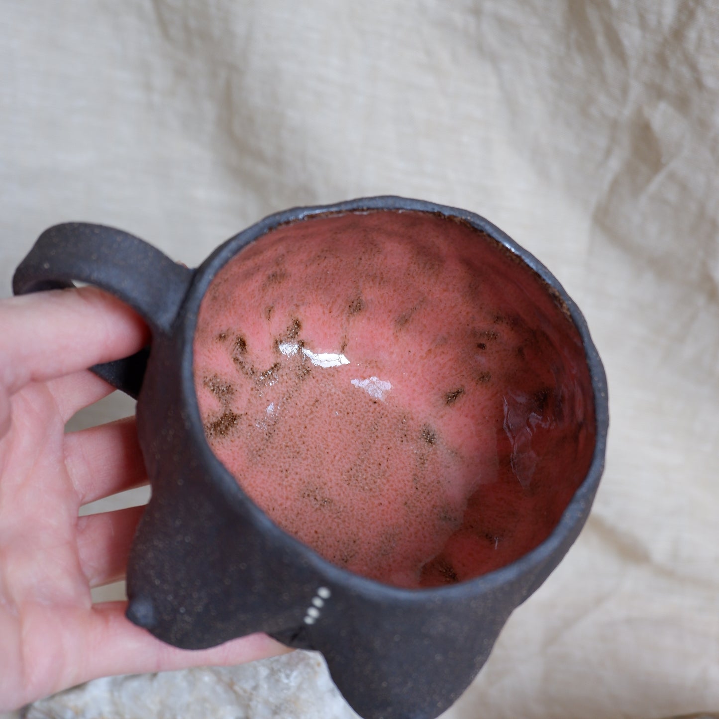 Rooted Collection Mug / symbolizes journey, evolution, and growth