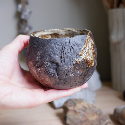 Earth Mug no.1