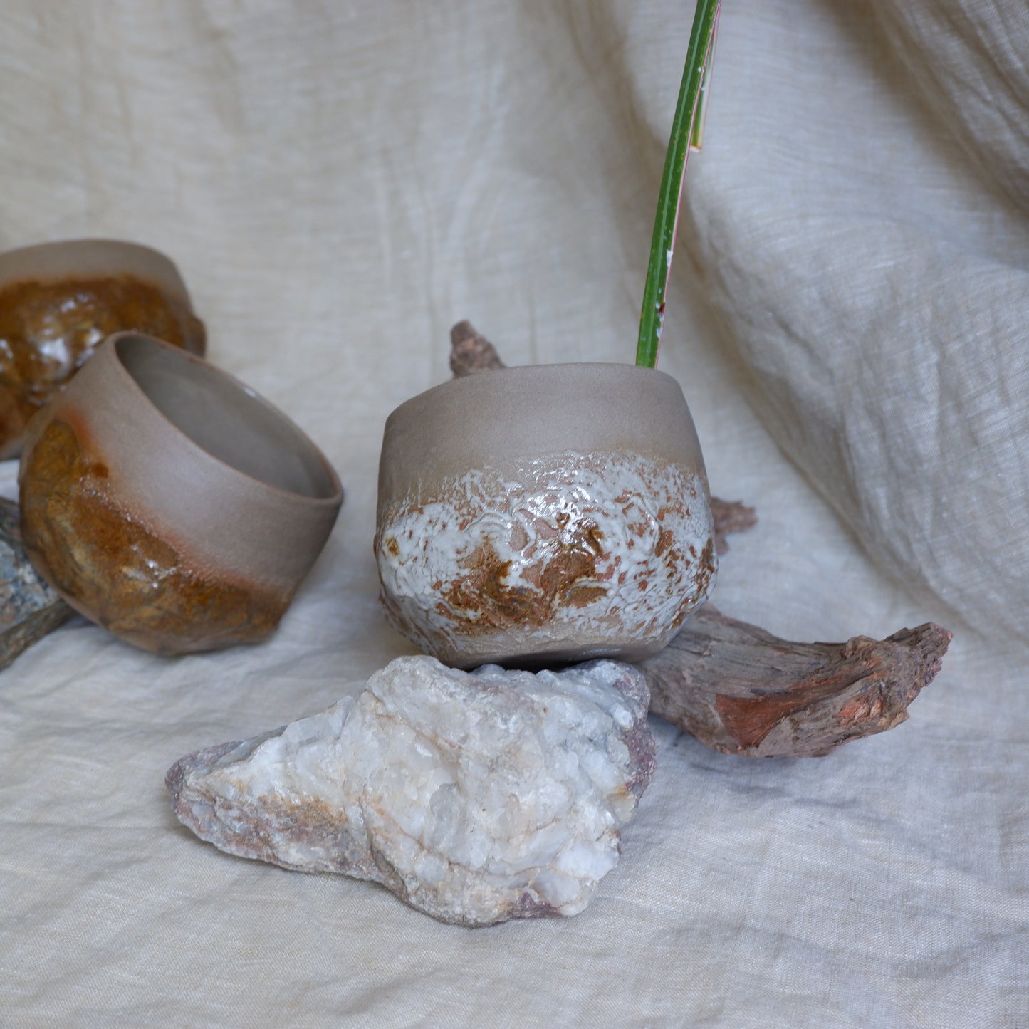 Earth Mug no5