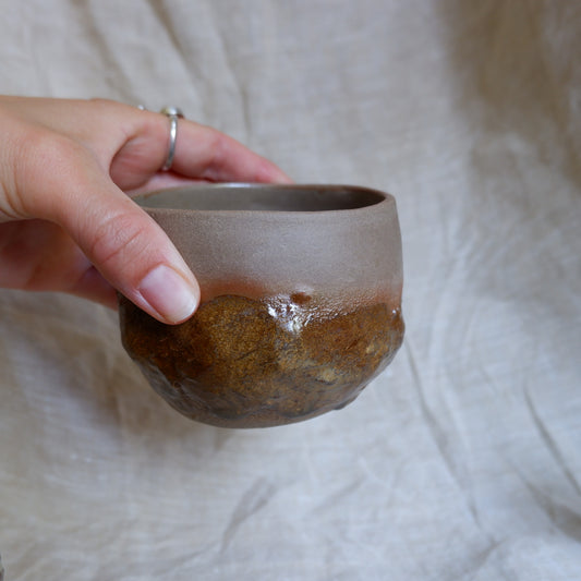 Earth Mug no4