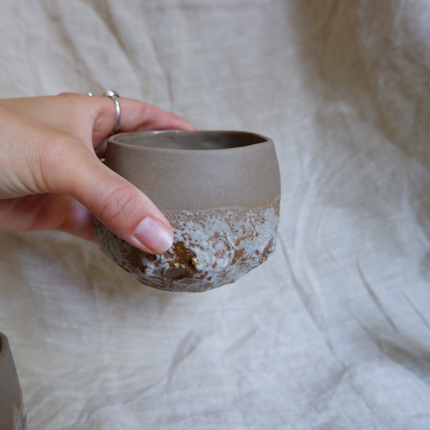 Earth Mug no5
