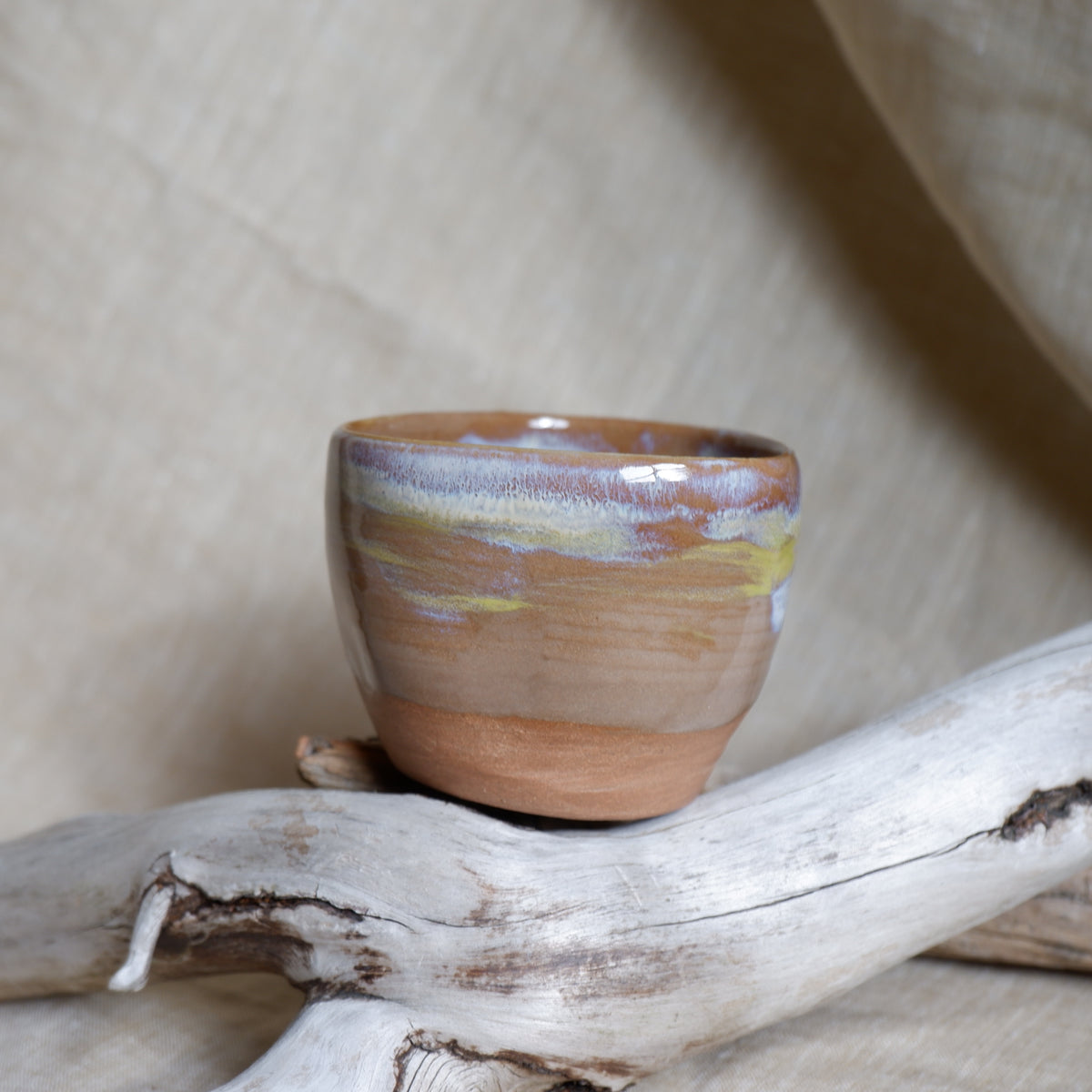 Rooted Cup 7