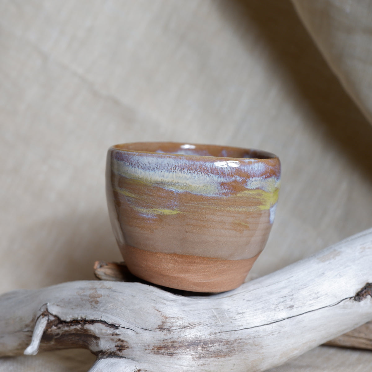 Rooted Cup 7