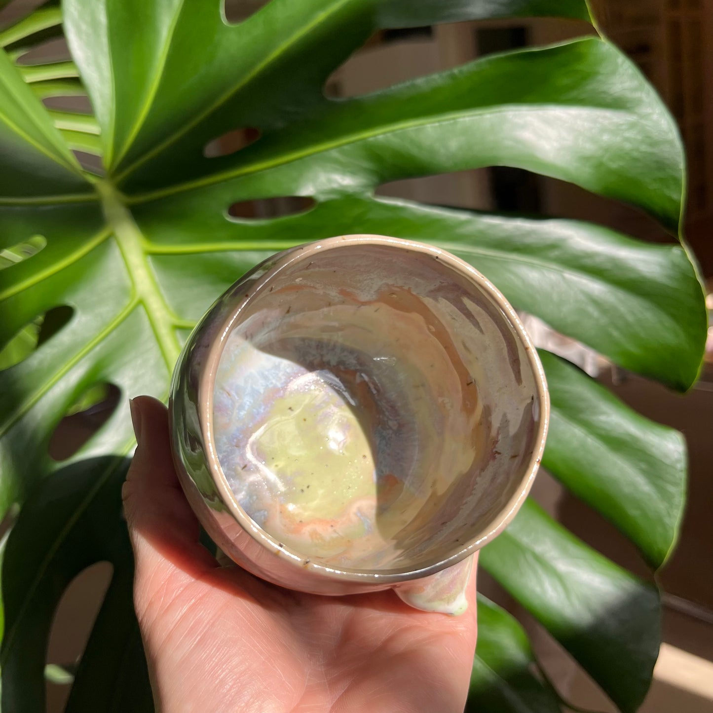 Colorful Collection / Mug no58