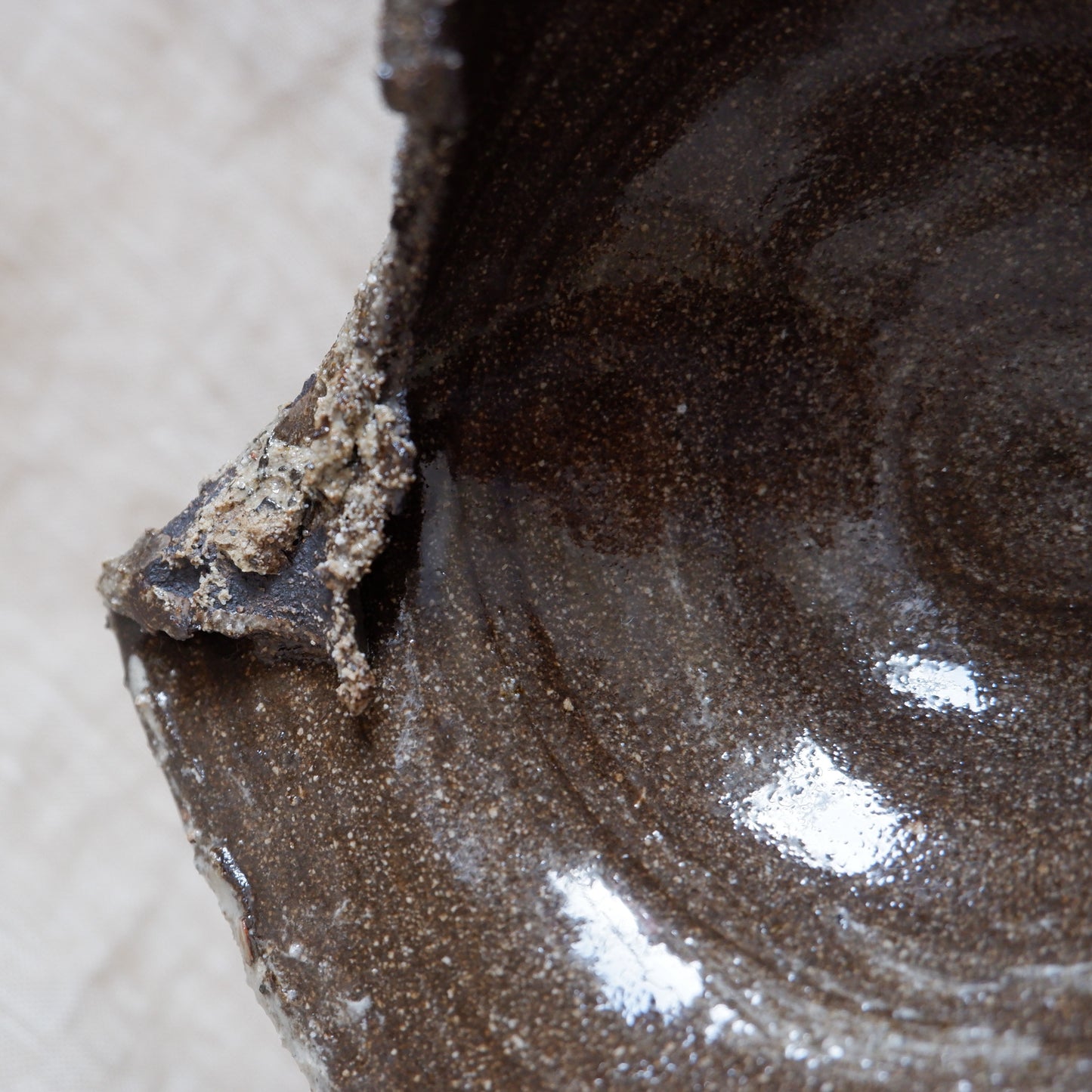 Rooted Sculptural Bowl 2