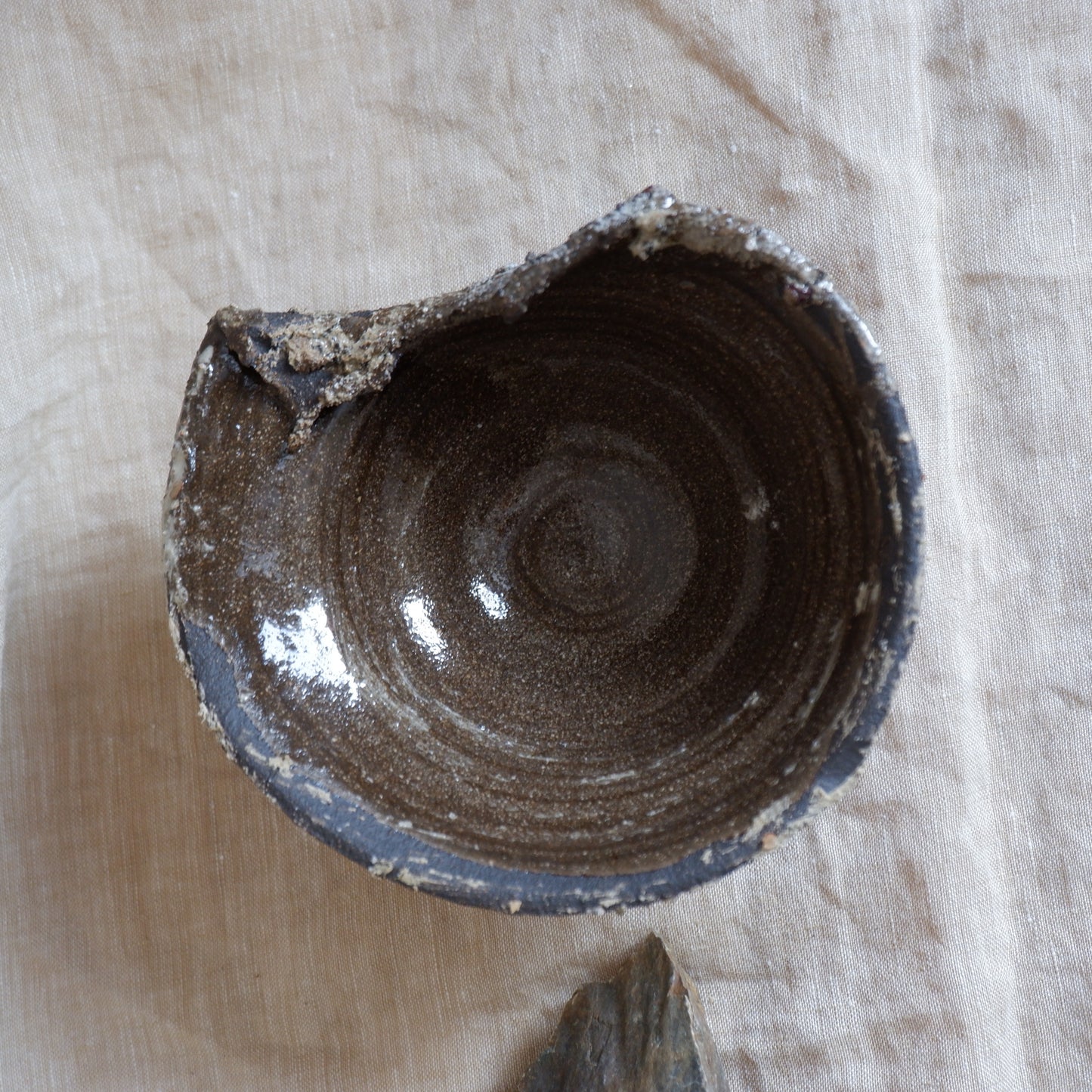 Rooted Sculptural Bowl 2