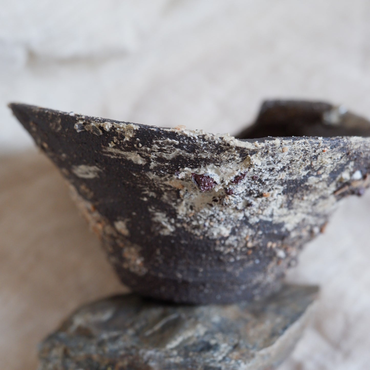 Rooted Sculptural Bowl 2