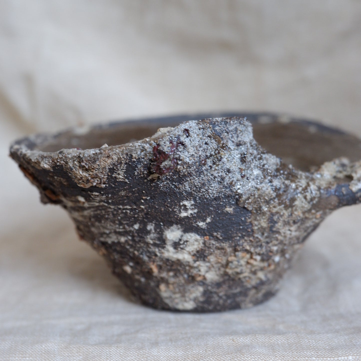 Rooted Sculptural Bowl 2