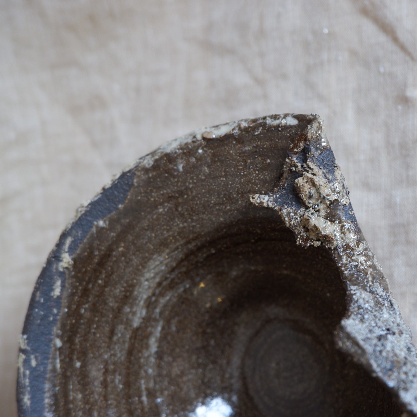 Rooted Sculptural Bowl 2