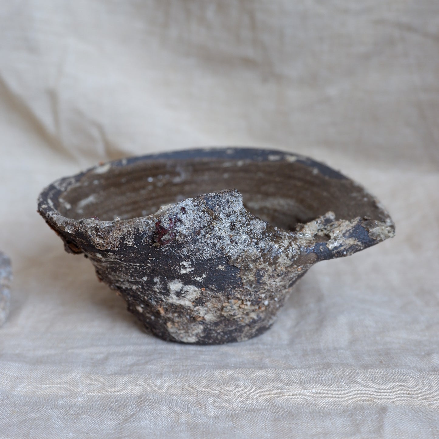 Rooted Sculptural Bowl 2